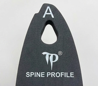 TheraPosture