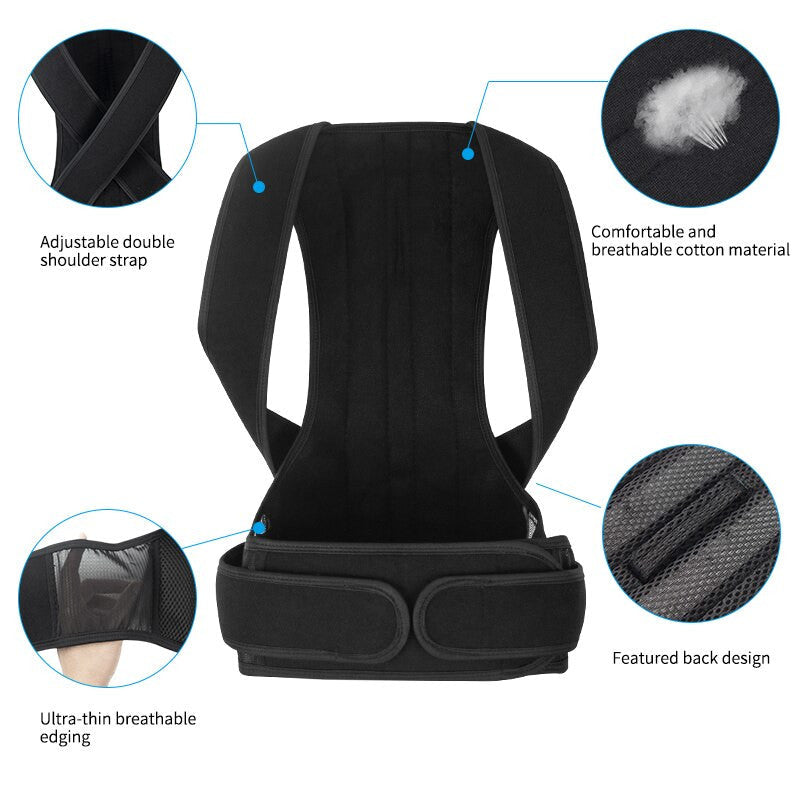 Black back support belt with features highlighted on a white background