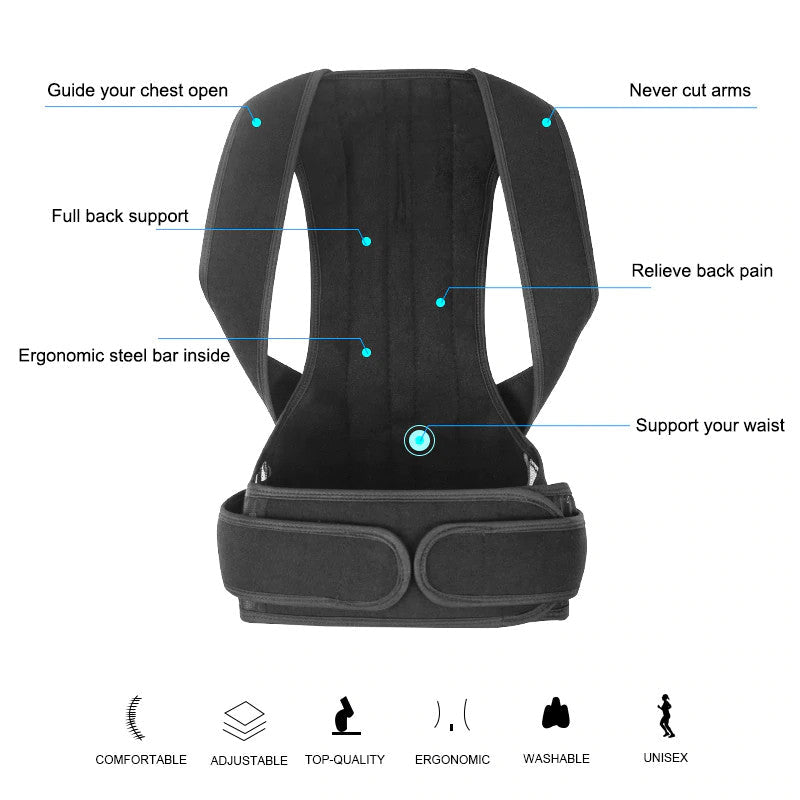 Back support brace with labeled features on a white background